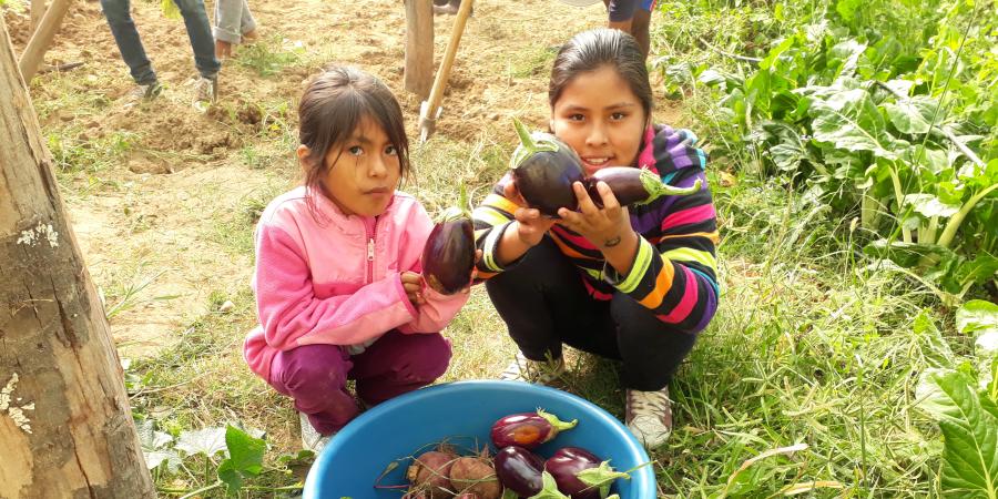 Estudiantes cultivando un huerto escolar y mostrando su cosecha